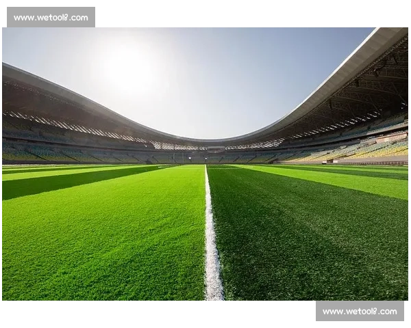 以足球草坪为核心构建全民共享的生态运动活力空间新篇章未来愿景
