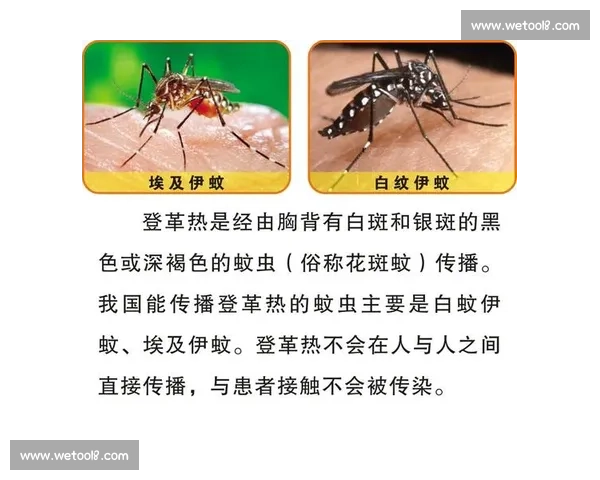 提高运动安全性从预防做起 科学制定体育活动防护措施 提高运动安全性从预防做起 科学制定体育活动防护措施