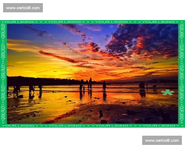 捕捉瞬间之美展现生活中的每一个精彩时刻 捕捉瞬间之美展现生活中的每一个精彩时刻